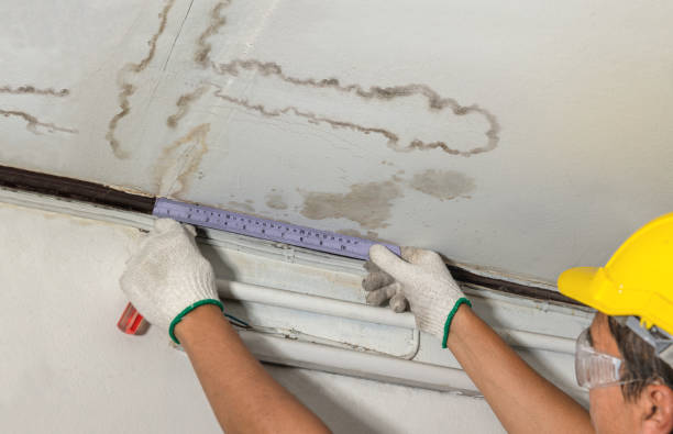 Affordable Water Damage Repair solutions in McMinnville, OR